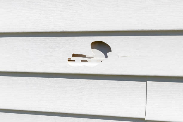 Best Composite Siding  in Franklin, CA
