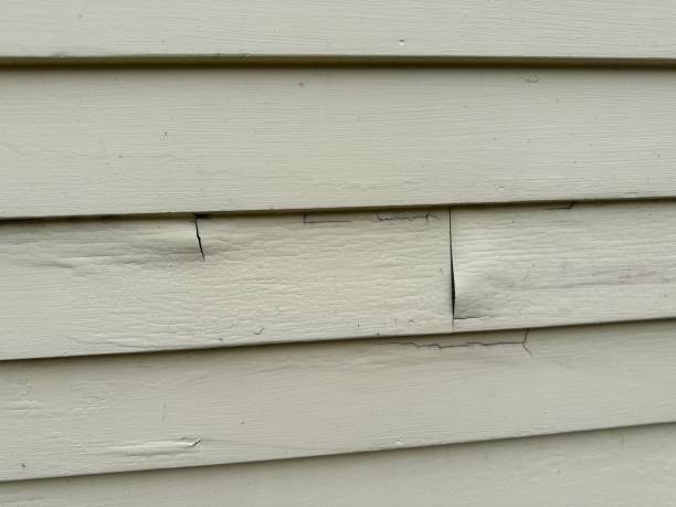 Best Fascia and Soffit Installation  in Franklin, CA